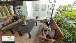 Google Maps San Diego Pet Hospital